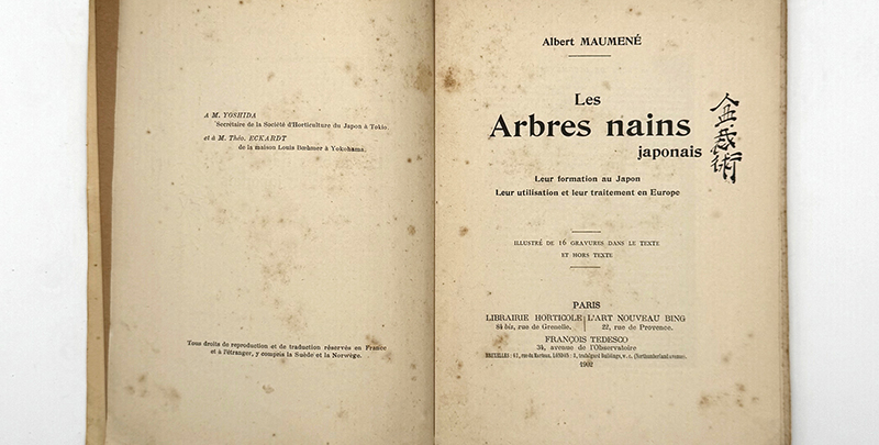 Do Japão para Paris, a história de um livro que chegou a Guimarães sobre bonsai