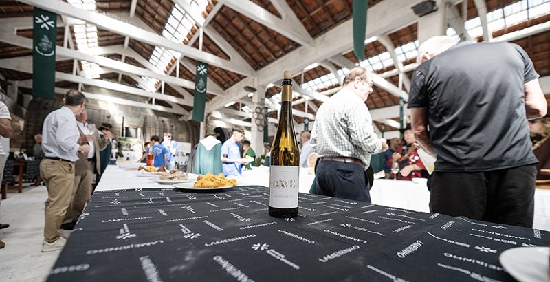 Todos podem ser “especialistas” de vinhos nesta prova de “Vinhos de Vimaranes”