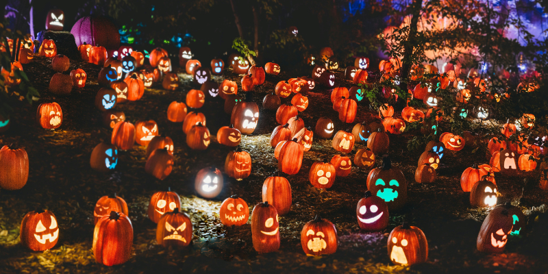 Festas, enigmas e concertos: Guimarães tem Halloween para todos